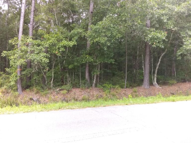 SOLD 1427 Hamlin Road, Mount Pleasant, SC