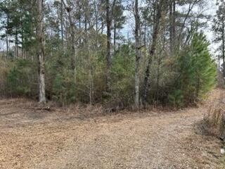 $1,995,000 Gallashaw Road, Summerville, SC